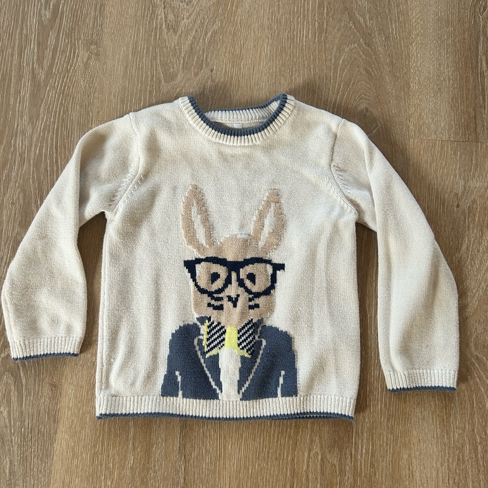Cute Bunny Sweater with Glasses boys 5/6